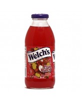 WELCH'S FRUIT PUNCH JUICE  GLASS BOTTLE 16 OZ. - 12 CT.